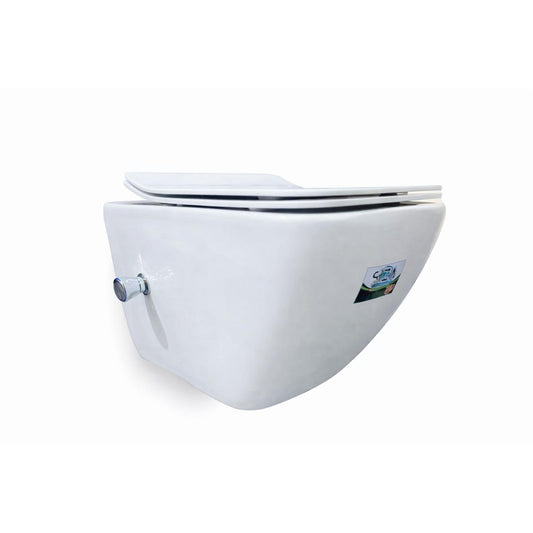 Wall-Mounted Toilet